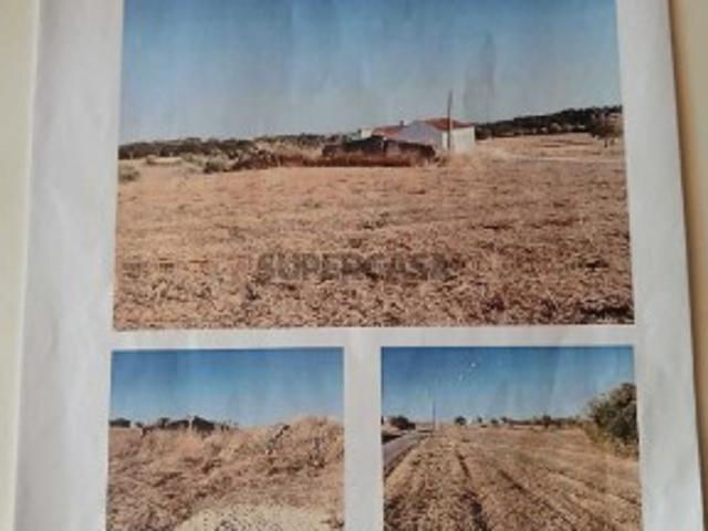 Terreno venda em Casais de Asseiceira, Santarém