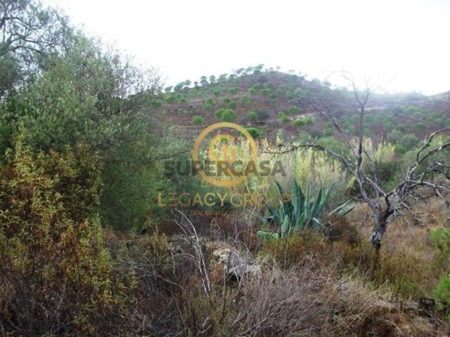 Terreno venda em Fonte Zambujo, Faro