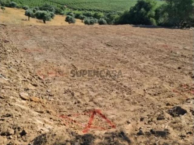Terreno venda em Beja