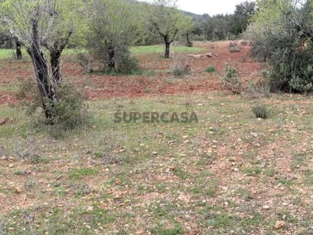 Terreno venda em Loulé, Faro