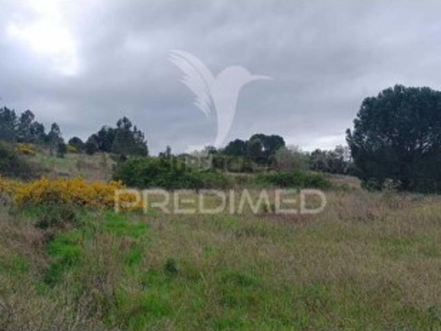 Terreno venda em Bairro Quinta da Laranjinha, Mora