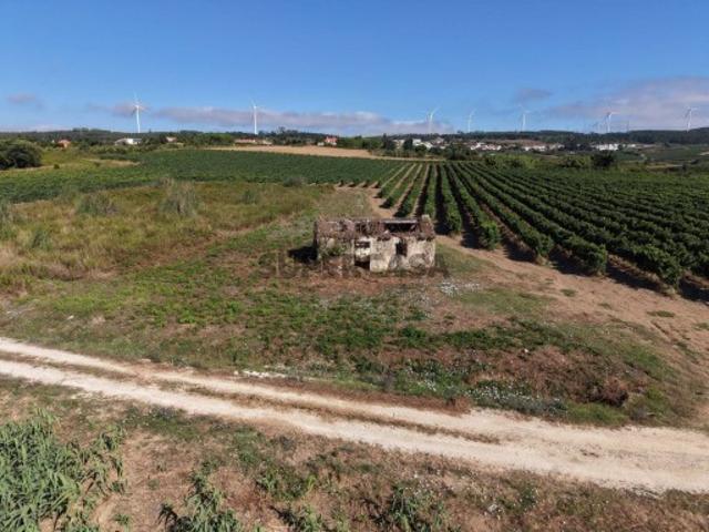 Terreno venda em Almagra, Torres Vedras