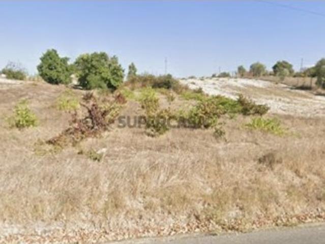 Terreno venda em Coruche, Santarém