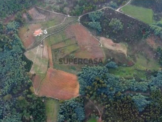 Terreno venda em Gouveia