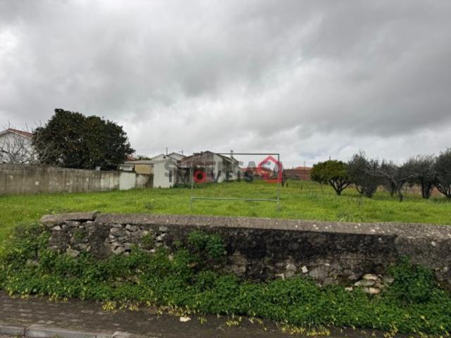 Terreno venda em Maceirinha, Leiria