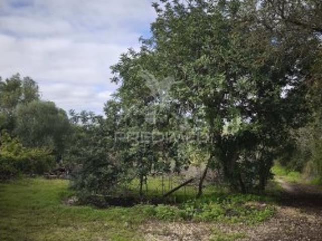 Terreno venda em Albufeira, Faro
