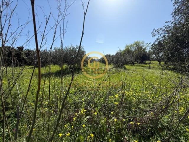 Terreno venda em Mem Moniz, Albufeira