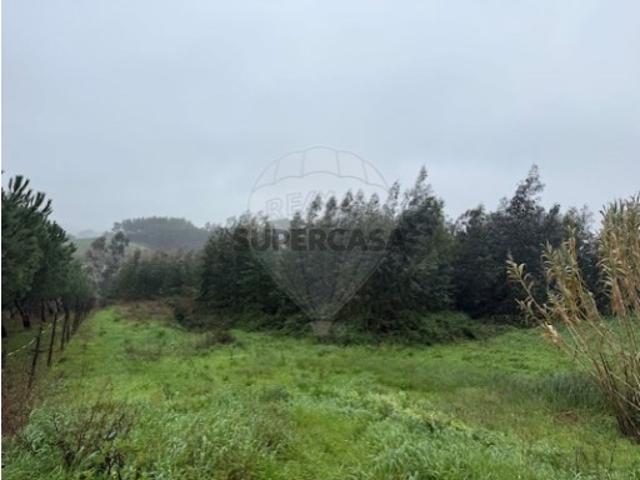 Terreno venda em Cadaval, Vilar
