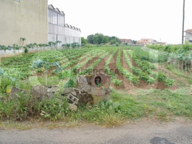 Terreno venda em Aveiro