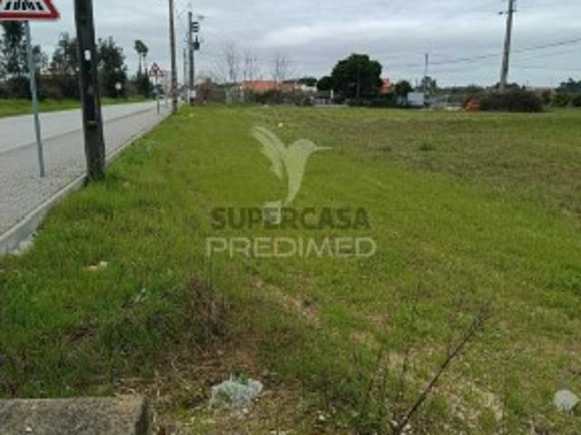 Terreno venda em Salvaterra De Magos, Santarém