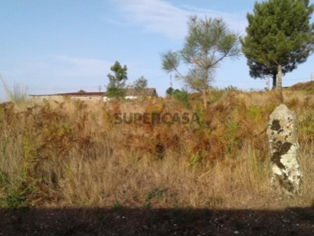 Terreno venda em Travassós, Fafe