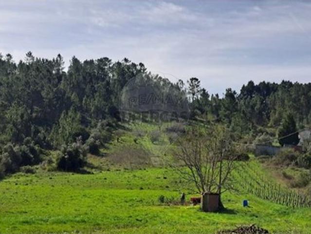 Terreno venda em Coimbrã, Torre De Vilela