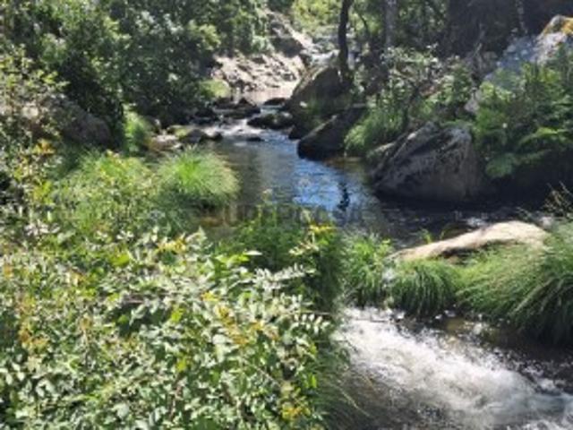 Terreno venda em Lamego, Viseu