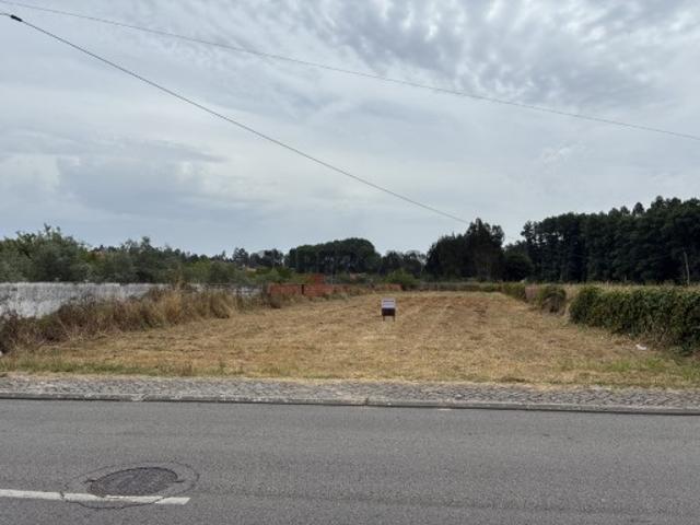Terreno venda em Chorosa, Cantanhede