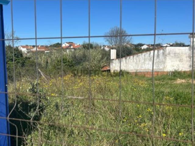 Terreno venda em Abrantes, Santarém