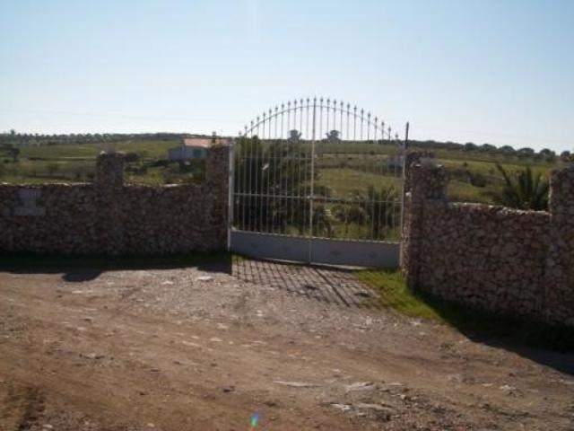 Terreno venda em Mourã, Beja