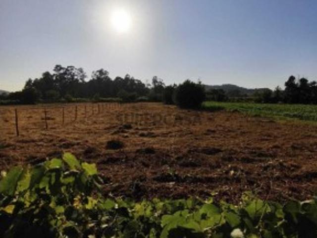 Terreno venda em Rio, Vila Nova de Famalicão
