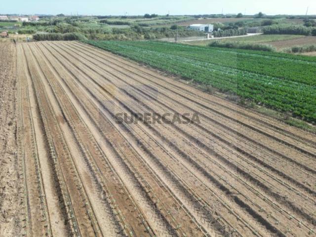 Terreno venda em Bufarda, Peniche