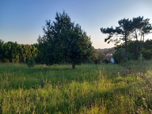 Terreno venda em Vais, Figueira Da Foz
