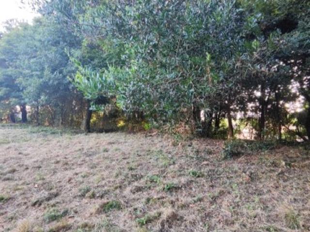 Terreno venda em Areosa, Viana Do Castelo