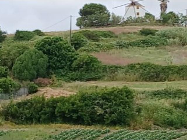 Terreno venda em Torres Vedras, Lisboa