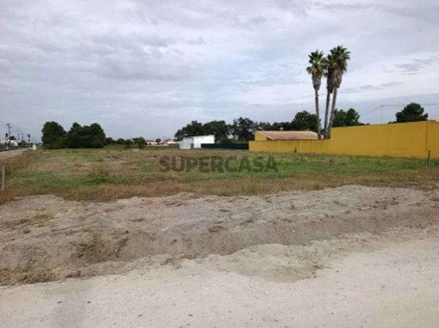 Terreno venda em Marinhais, Salvaterra de Magos