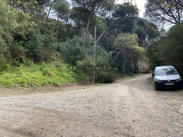 Terreno venda em Palmela, Setúbal