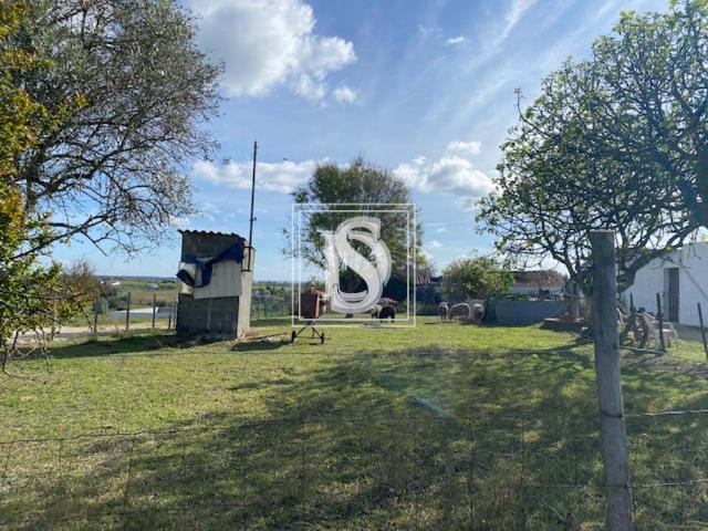 Terreno venda em Santarém