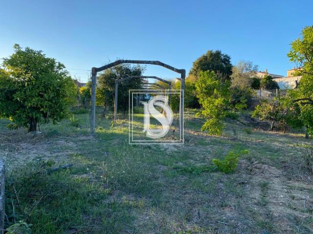 Terreno venda em Santarém