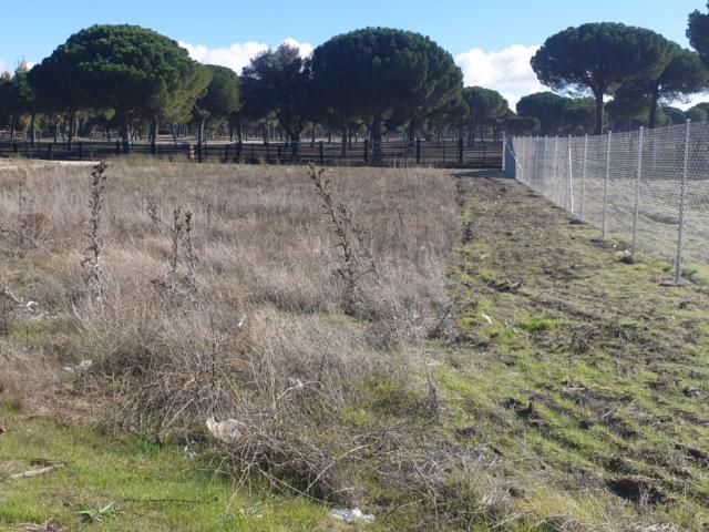 Terreno en venta en Aldeamayor De San Martín, Castilla y León