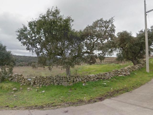 Terreno en venta en Encina De San Silvestre, Castilla y León