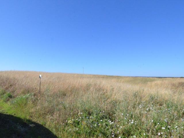 Terreno en venta en Almenara De Tormes, Castilla y León