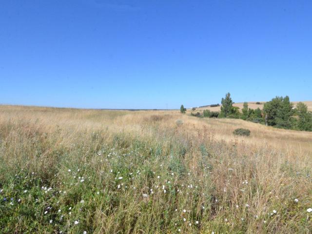 Terreno en venta en Almenara De Tormes, Castilla y León