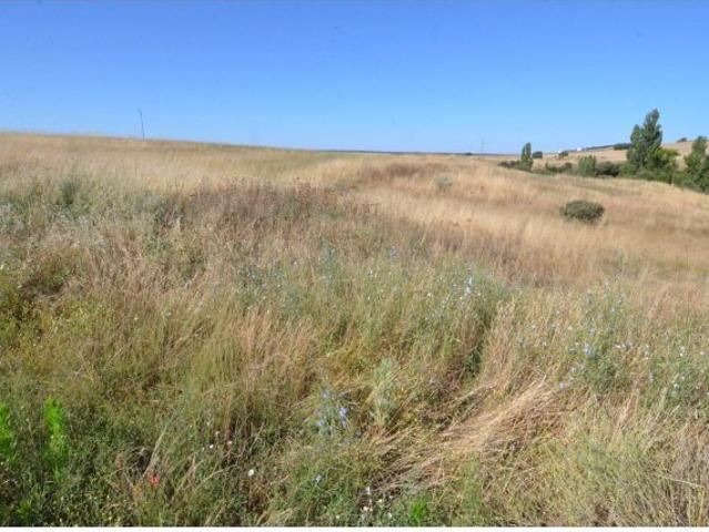 Local Comercial en venta en Almenara De Tormes, Castilla y León