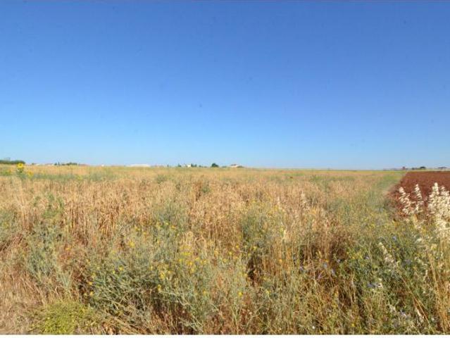 Local Comercial en venta en Calzada De Valdunciel, Castilla y León