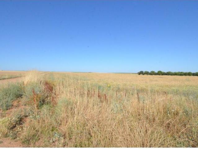 Local Comercial en venta en Calzada De Valdunciel, Castilla y León