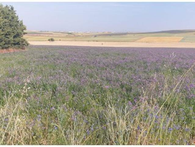 Local Comercial en venta en Cabrerizos, Castilla y León