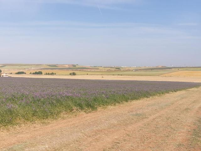 Terreno en venta en Cabrerizos, Castilla y León