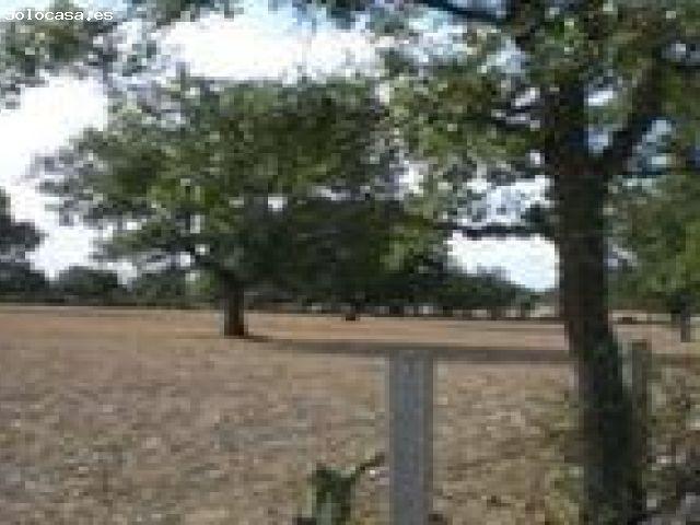 Local Comercial en venta en Villares De Yeltes