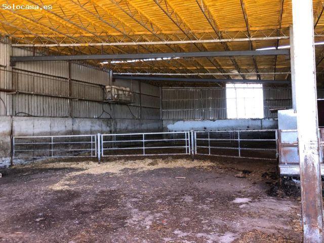 Local Comercial en venta en Villarrodrigo, Castilla y León