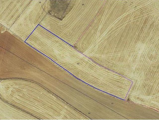 Local Comercial en venta en Los Hoyos, Aldeatejada