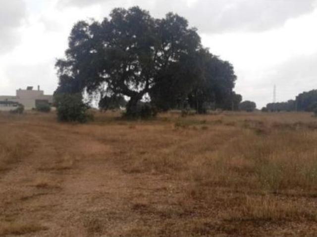 Local Comercial en venta en Carrascal De Barregas, Urbanización Oasis Golf