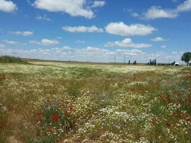 Terreno en venta en Perahuy, Galindo Y Perahuy