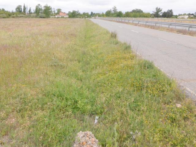 Terreno en venta en Pelabravo, Castilla y León