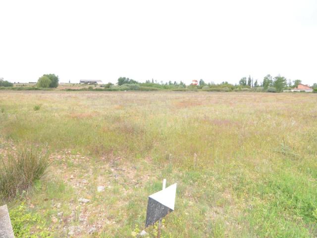 Terreno en venta en Pelabravo, Castilla y León