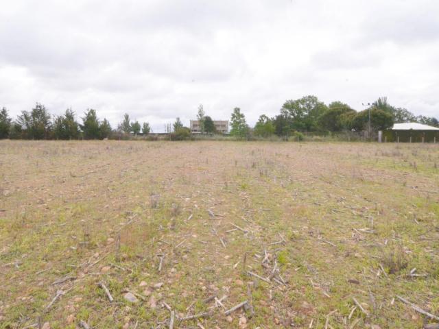 Terreno en venta en Pelabravo, Castilla y León