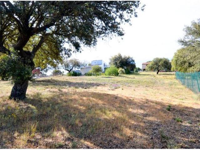 Local Comercial en venta en Carrascal De Barregas
