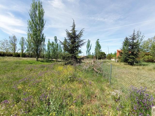 Terreno en venta en Martinamor, Castilla y León