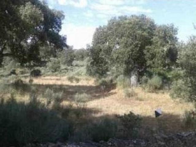 Local Comercial en venta en Villar De La Yegua, Castilla y León