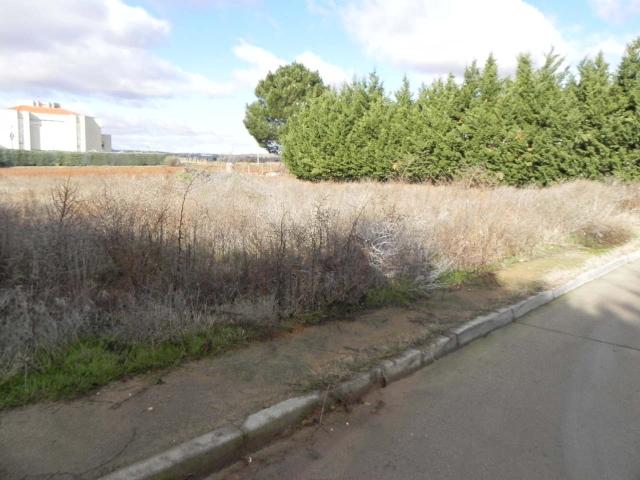 Terreno en venta en Valdelagua, Santa Marta De Tormes